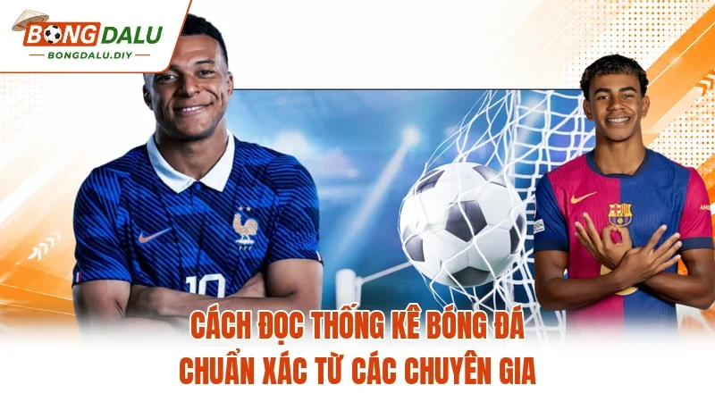 Cách Đọc Thống Kê Bóng Đá Chuẩn Xác Từ Các Chuyên Gia