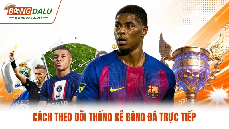 Cách theo dõi thống kê bóng đá trực tiếp