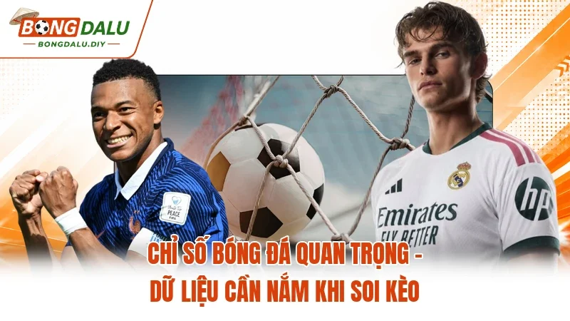 Chỉ Số Bóng Đá Quan Trọng - Dữ Liệu Cần Nắm Khi Soi Kèo