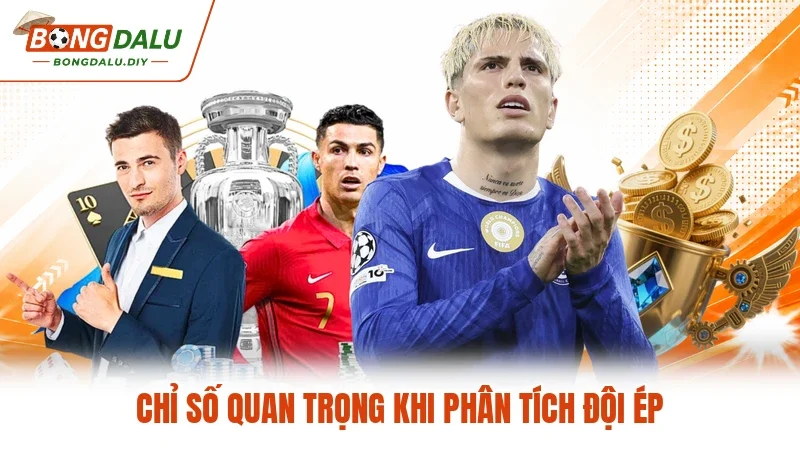 Chỉ số quan trọng khi phân tích đội ép