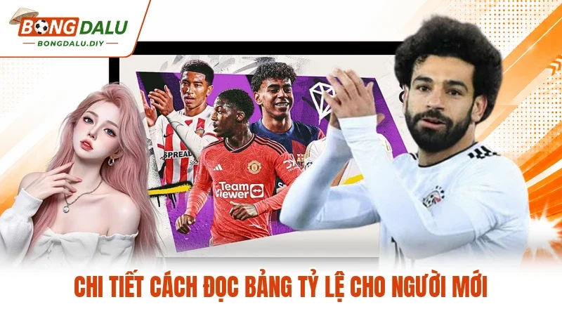 Chi tiết cách đọc bảng tỷ lệ cho người mới
