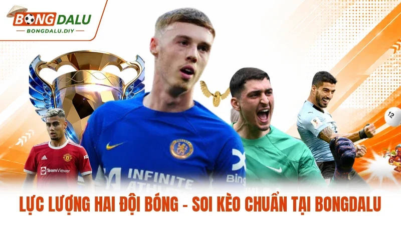 Lực Lượng Hai Đội Bóng - Soi Kèo Chuẩn Tại Bongdalu