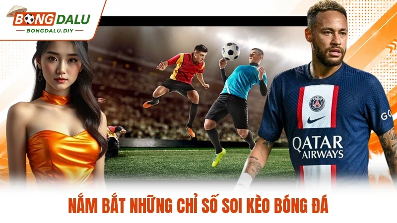 Nắm bắt những chỉ số soi kèo bóng đá
