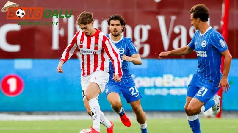 Soi kèo Brighton vs Tromso