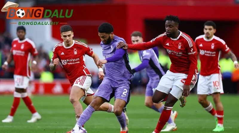 Soi kèo Liverpool vs Nottingham