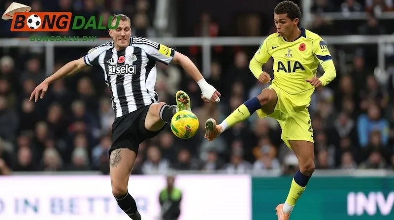 Soi kèo Tottenham vs Newcastle
